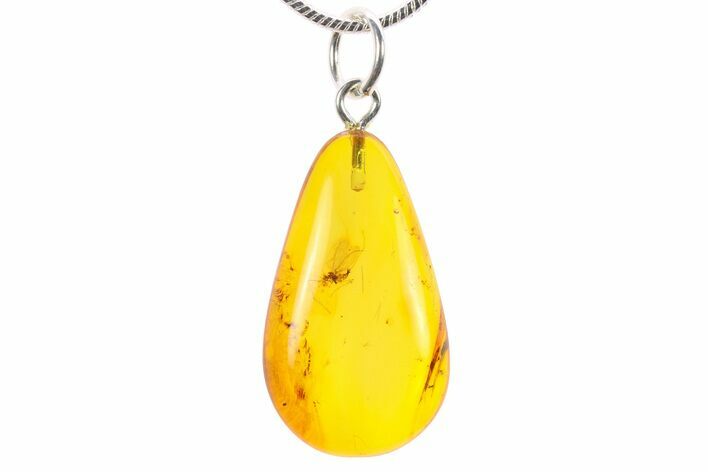 Polished Baltic Amber Pendant (Necklace) - Contains Fly! #270745